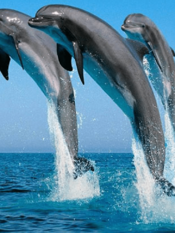 IMG20240615172117 (17)