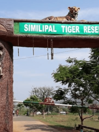 IMG20240615172117 (2)