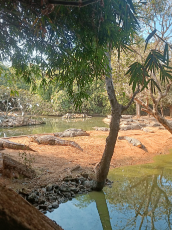 IMG20240615172117 (3) IMG20240615172117 (3)