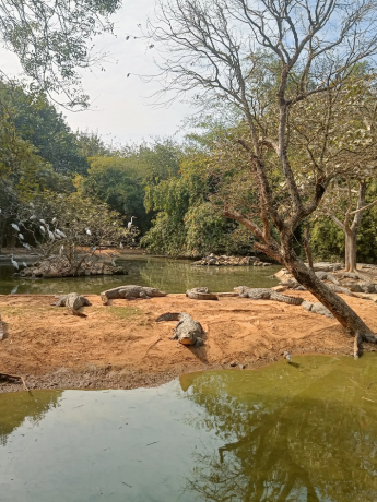 IMG20240615172117 (4) IMG20240615172117 (4)