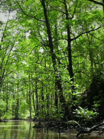 IMG20240615172117 (5) IMG20240615172117 (5)