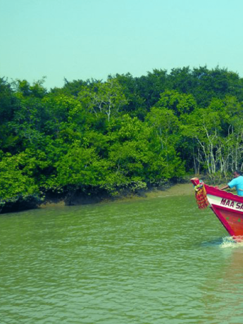 IMG20240615172117 (8) IMG20240615172117 (8)